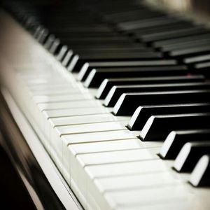 色色爱爱九视频
